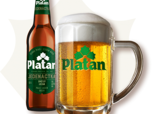 Platan 11